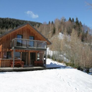 Фотография гостевого дома Holiday home Chaletinaustria