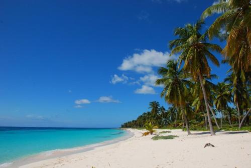 Фотографии гостиницы 
            Saona Beach House - Bed and Breakfast