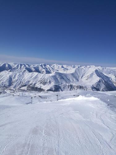 Фотографии апарт отеля 
            Frozen View New Gudauri