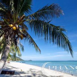 Фотографии гостиницы 
            Phangan Beach Resort