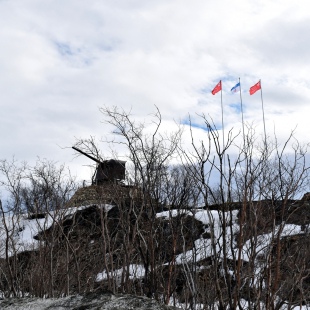 Фотография памятника Памятник Пушка