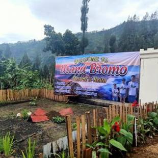 Фотографии гостиницы 
            Istana Bromo Resort