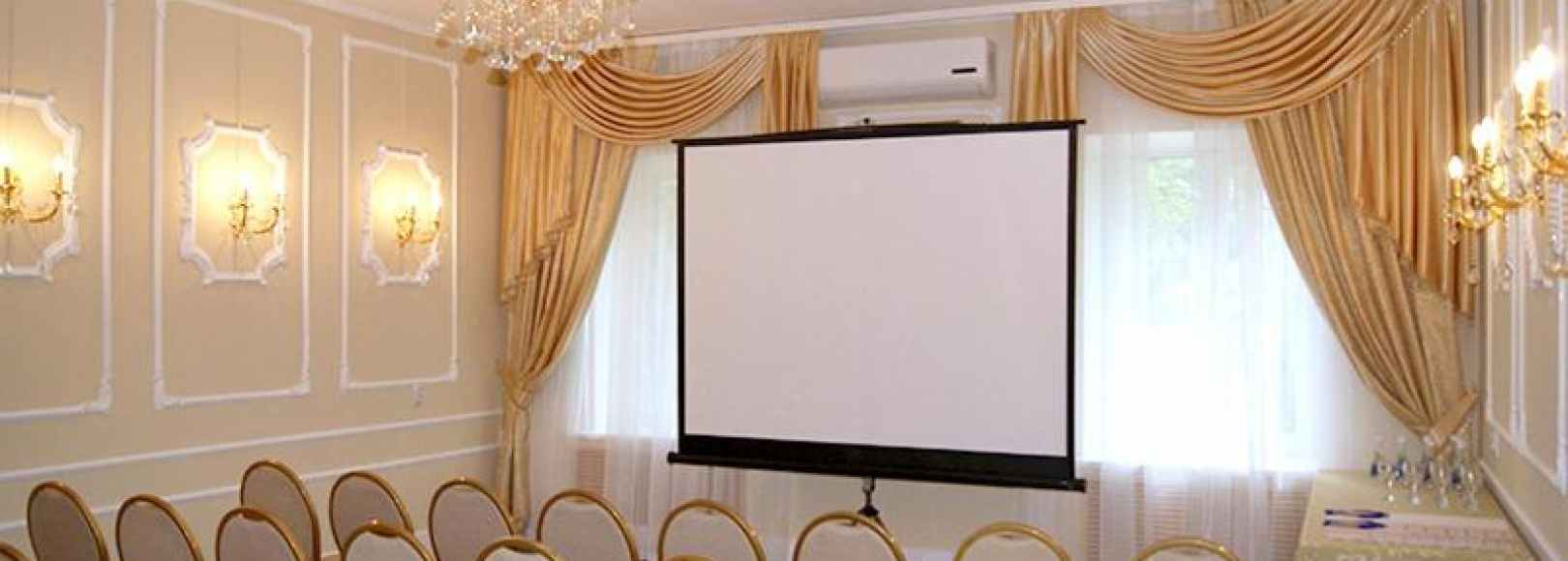 Фотография конференц-зала Звездный