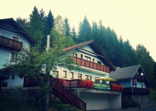 Фотография гостевого дома Penzion v strani