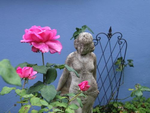 Фотография гостевого дома No.31 B&B im Rosengarten