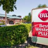 Фотография гостиницы Best Western Plus Addison/Dallas Hotel