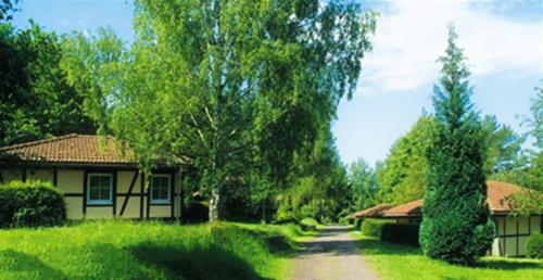 Фотографии гостевого дома 
            Feriendorf Vatteröder Teich