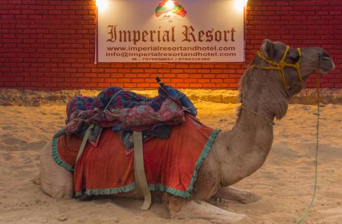 Фотографии гостиницы 
            Imperial Resort