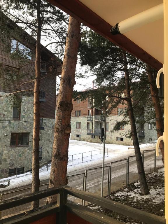 Фотография квартиры Apartamenti Bakuriani INN