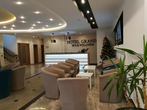 Фотографии гостиницы 
            SPA Hotel Grand Krupanj