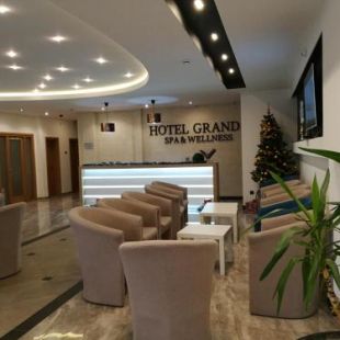 Фотография гостиницы SPA Hotel Grand Krupanj