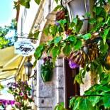 Фотография гостевого дома Alacati Zeynep Hotel