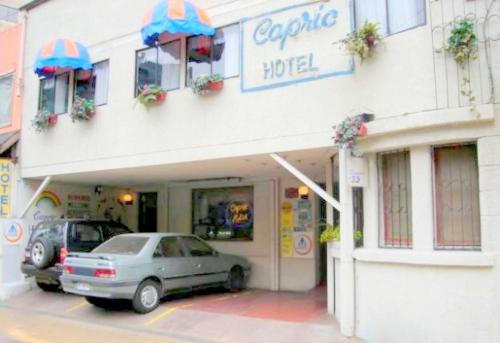 Фотография гостиницы Hotel Capric