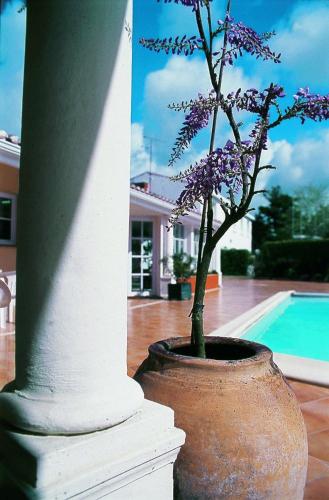 Фотография гостиницы Le Manoir de l'Antiquite