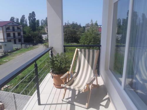 Фотография гостевого дома Кактус