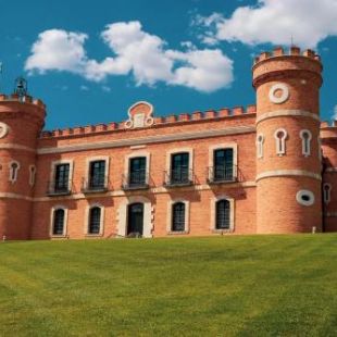 Фотография гостиницы Castillo de Monte la Reina Posada Rural & Bodega