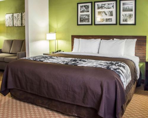 Фотография гостиницы Sleep Inn & Suites Cullman I-65 exit 310