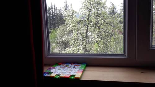 Фотография мини отеля Жио