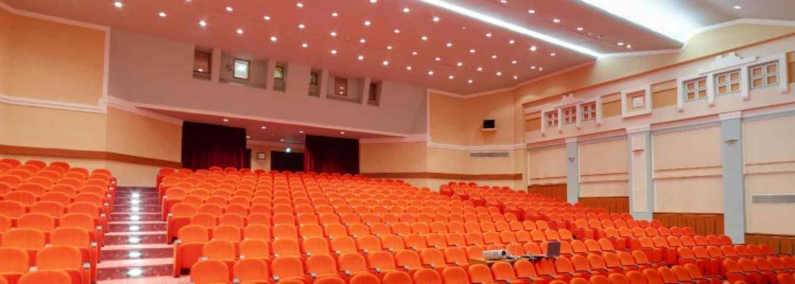 Фотография конференц-зала Большой