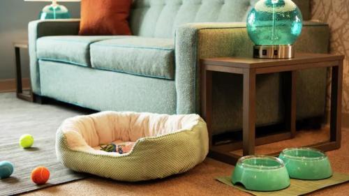 Фотография гостиницы Home2 Suites By Hilton Cumming Atlanta, Ga