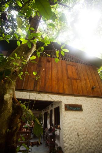 Фотографии мини отеля 
            Luz En El Cielo Eco-B&B/Hostel