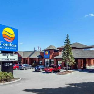 Фотографии гостиницы 
            Comfort Hotel & Suites Peterborough