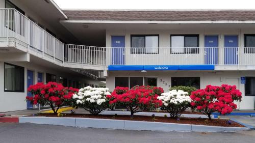 Фотографии гостиницы 
            Motel 6-Springfield, OR - Eugene North