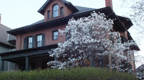 Фотография мини отеля Historic District BnB