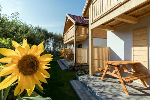 Фотография гостевого дома Kameleon2