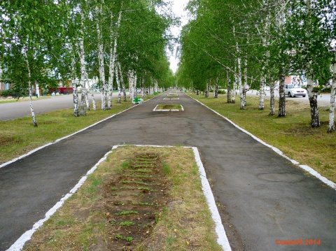 Карта родино родинского района алтайского края