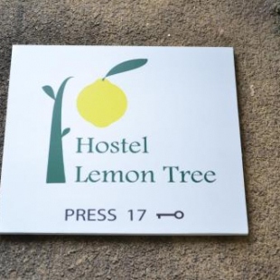 Фотография хостела Lemon Tree Hostel