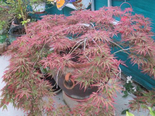 Фотография гостиницы Le Parisien