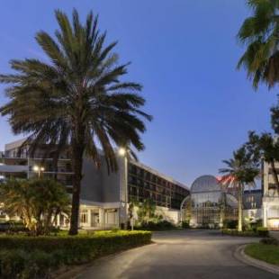 Фотографии гостиницы 
            Sheraton Orlando North