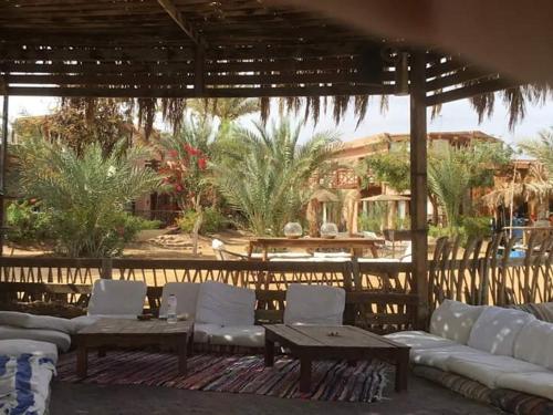 Фотографии мини отеля 
            Nakhil Inn Nuweiba