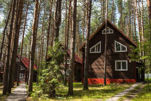 Фотография гостиницы Спортивный парк-отель Ягодная Деревушка