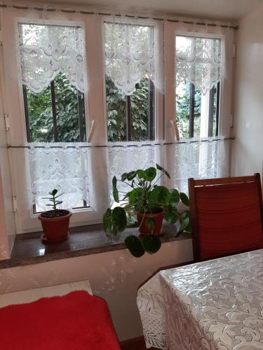 Фотография гостевого дома Elnor