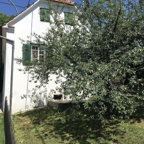 Фотография гостевого дома Ferienhaus im Thermenland (Loipersdorf, Blumau)