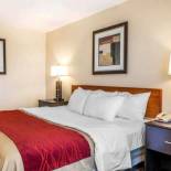 Фотография гостиницы Comfort Inn Avon - North Indianapolis