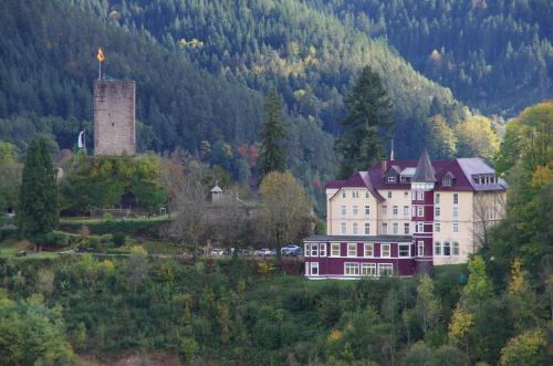 Фотография гостиницы Hotel Schloss Hornberg