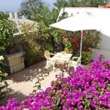 Фотография гостевого дома Casa-Limona-in-Teneriffas-sonnigem-Sueden