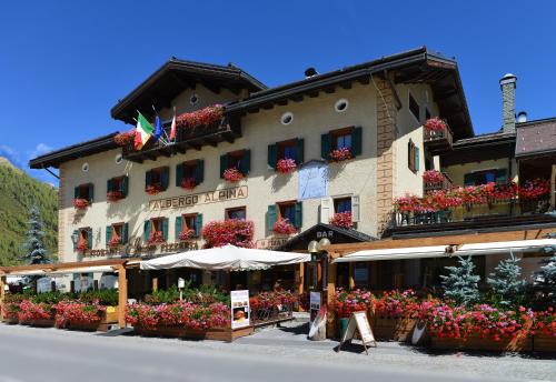 Фотографии гостиницы 
            Hotel Alpina