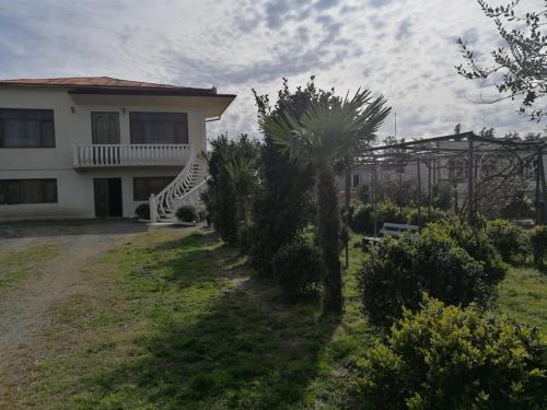 Фотография гостевого дома TEO