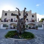 Фотография гостиницы Hotel Castel Miramonti