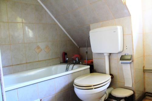 Фотография гостевого дома Pensiunea Ioana