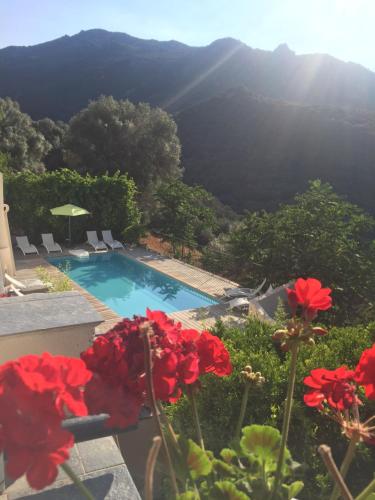 Фотография гостиницы Villa Les Orangers