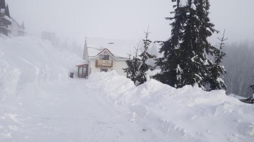 Фотографии гостевого дома 
            Casa Bunicutei