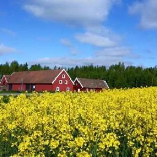 Фотографии мини отеля 
            Red Bird Farm