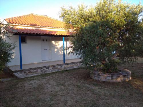 Фотография гостевого дома Aggeliki House 3