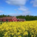 Фотография мини отеля Red Bird Farm