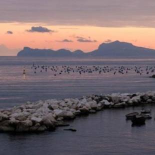 Фотографии мини отеля 
            Terrazze del Lungomare